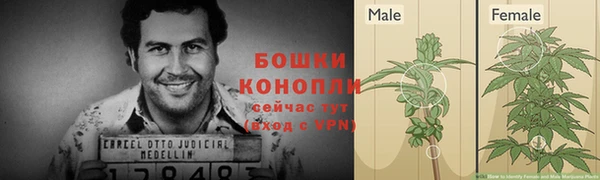 спиды Коряжма